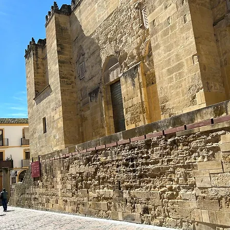 Junto A La Mezquita Y El Guadalquivir
